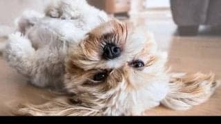 コロナ太りで生活習慣病の恐れアリ！？