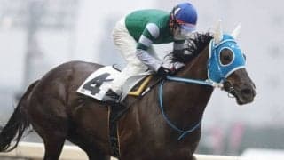 【ヒダカソウカップ予想】ホッカイドウ競馬のマイル女王に輝くのはどの馬か!?/NARレース展望