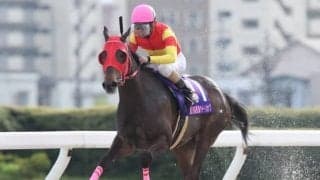 【笠松・クイーンC枠順確定】ビックバレリーナは6枠6番、ルミナスアローは8枠10番