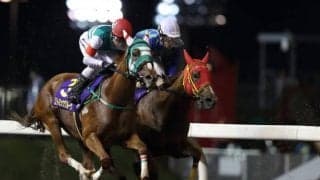 【門別競馬情報】「週2日」今週がラスト。2夜連続の重賞、まずは“リピーター”活躍目立つ「第6回ヒダカソウカップH2」/地方競馬情報