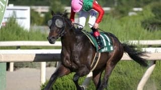 兵庫の木本直騎手が騎手服を変更