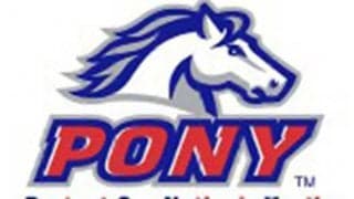 コロナ禍でも野球少年の夢を繋ぎたい　ポニーリーグが「ファミリー支援給付金」新設