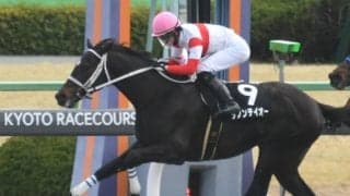 【次走】ダノンテイオーはジュライSへ