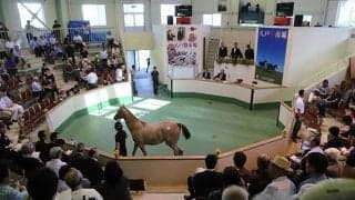 八戸市場、予定通りの開催が決定