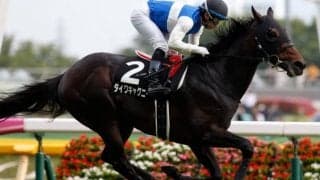 【次走】ダイワキャグニーは毎日王冠を視野
