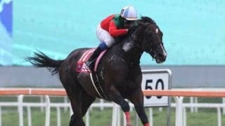 【JRA】コリアC連覇ロンドンタウンが引退、種牡馬となる予定