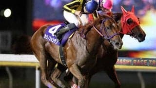 【船橋・京成盃グランドマイラーズ結果】カジノフォンテンが接戦を制し重賞初V！