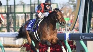 【帝王賞 選定馬更新】ルヴァンスレーヴ・ミツバの騎乗予定騎手が決定
