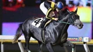 【船橋・短夜賞結果】移籍初戦のカレンカカが4馬身差突き抜け完勝