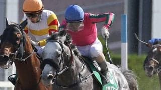 【帝王賞】JRA出走予定馬