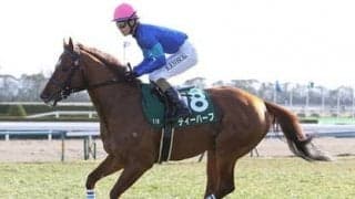 函館スプリントＳで美味な穴馬券。人気薄ベテランと昇級初戦の馬が味付け