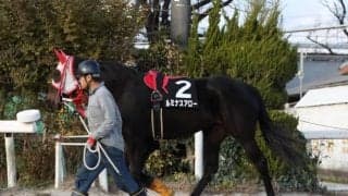 【クイーンC予想】混戦の3歳牝馬重賞 中心はルミナスアローか/NARレース展望