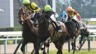 【函館スプリントS枠順確定】ダイアトニックは3枠6番、ライトオンキューは4枠7番