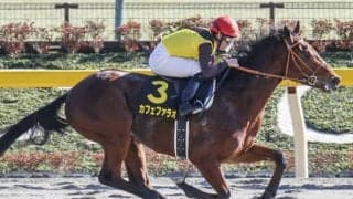 【ユニコーンS枠順確定】カフェファラオは大外8枠16番、レッチェバロックは3枠5番