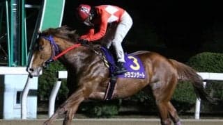 【佐賀がばいダッシュ】転入後無傷10連勝中！ ドラゴンゲートは8枠9番からの発走
