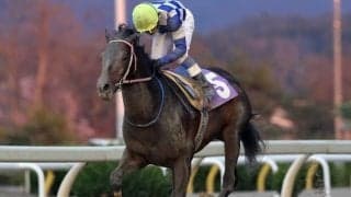 【みちのく大賞典】6頭立ても豪華メンバー！ランガディア、パンプキンズ、エンパイアペガサスなど