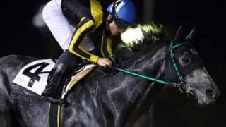 【船橋・短夜賞】移籍初戦カレンカカが4馬身差V　張田昂騎手「これからが楽しみ」