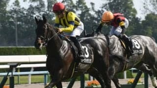 【次走】ソーグリッタリングは川田将雅騎手とのコンビで中京記念へ