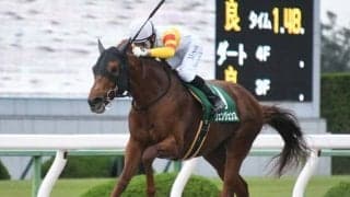 【本日の注目ポイント】阪神でハンデのOP特別・三宮S、各場の新馬戦にも注目