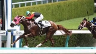 ユニコーンＳでウハウハ予想。穴党記者がホレた３頭に決め手あり