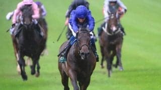 【英・セントジェームズパレスS】欧州2歳王者ピナトゥボは2番枠、英・2000ギニー2着ウィチタは7番枠