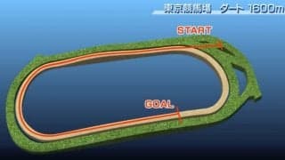 【ユニコーンSコース解説】芝スタート、下りスタートでペースが上がりやすい