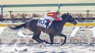 【ユニコーンS前日オッズ】レッチェバロックが2.5倍で1番人気