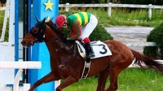 【JRA】ムーンリットエルフが予後不良の診断、東京1Rで競走中止