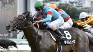 【函館スプリントS予想】実績上位のダイアトニックが春シーズンの鬱憤を晴らすか!?/JRAレース展望