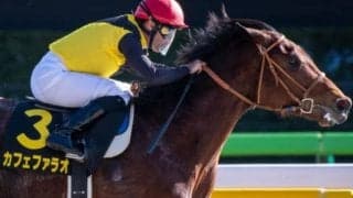 【ユニコーンS予想】将来のダート界を担う逸材3頭の三つ巴戦!!/JRAレース展望