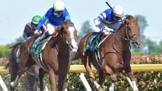 【本日の注目ポイント】東京でユニコーンS、函館で函館スプリントS