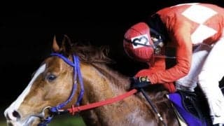 【佐賀がばいダッシュ予想】佐賀で無敗の10連勝ドラゴンゲート、ここも突っ走る/NARレース展望