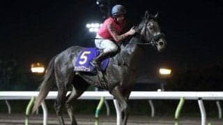 【大井・帝王賞枠順確定】オメガパフュームは7枠11番、クリソベリルは5枠8番