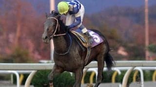 【一條記念みちのく大賞典予想】ランガディアを巡る熱い戦いに注目!!/NARレース展望