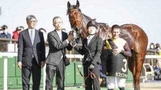 【ユニコーンS・馬体重】カフェファラオは512kg(+8)、レッチェバロックは498kg(+12)