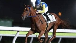 【大井・優駿スプリント】カプリフレイバーなど3歳のスピード自慢が集結！/レースの見どころ(地方競馬)