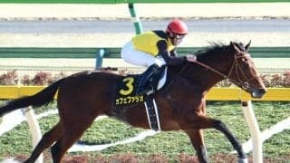 【JDダービー】カフェファラオ、デュードヴァン、バーナードループなどJRA出走予定馬が発表