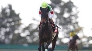 GI宝塚記念＆JpnI帝王賞に注目/今週の競馬界の見どころ