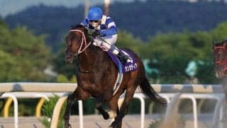 【水沢・みちのく大賞典】岩手伝統の一戦・みちのく大賞典はランガディアが制す！