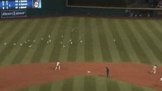 【球界名場面番外編】カモメの“守備妨害”でサヨナラに…予想外の珍事に「なんて奇妙な負け方」