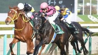 【パラダイスSハンデ確定】スマートオーディンは57kg、ボンセルヴィーソは55kg