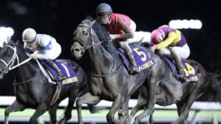【大井・帝王賞】国内無敗のクリソベリル、連覇狙うオメガパフュームら豪華メンバーが激突/レースの見どころ(地方競馬)