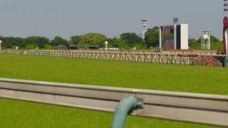 JRAホームページ上で9月から馬場のクッション値の公表を開始