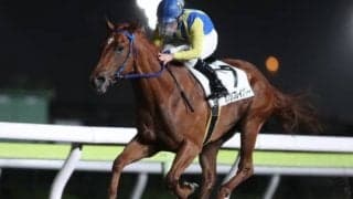 【大井・優駿スプリント枠順確定】トライアル覇者カプリフレイバーは4枠7番、DG優勝馬コーラルツッキーは2枠3番