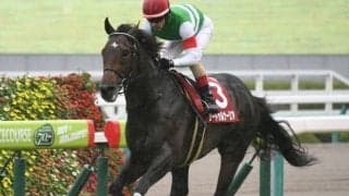 【宝塚記念 出走馬決定順】ファン投票2位ラッキーライラック、3位サートゥルナーリアらフルゲート18頭が登録