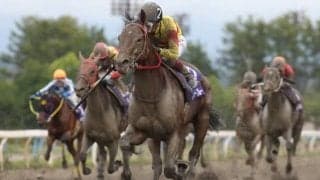 【百万石賞 枠順確定】移籍後2連勝サノサマーは5枠5番、昨年覇者ティモシーブルーは7枠7番