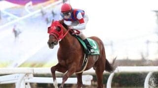 【園田FCスプリント枠順確定】前走圧勝ダノングッドは5枠6番、昨年2着エイシンエンジョイは6枠7番