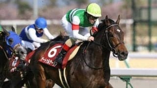 宝塚記念はサートゥルナーリアで鉄板か「今ならアーモンドアイに勝てる」