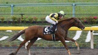 【百万石賞予想】元JRAオープンのサノサマーかティモシーブルーか/NARレース展望