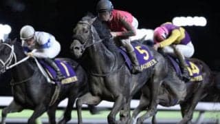 【帝王賞予想オッズ】昨年覇者オメガパフュームが予想1番人気